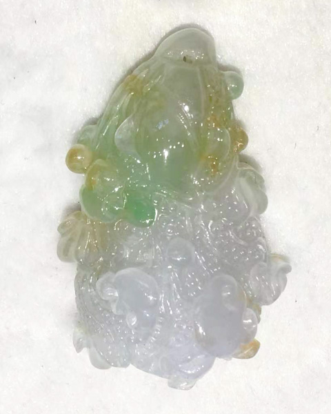 百财聚纳