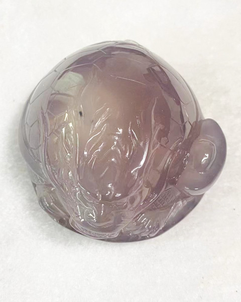 水胆龙龟