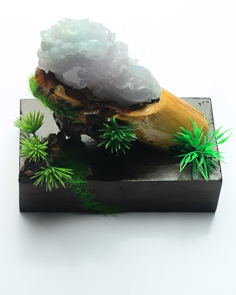 百财聚纳