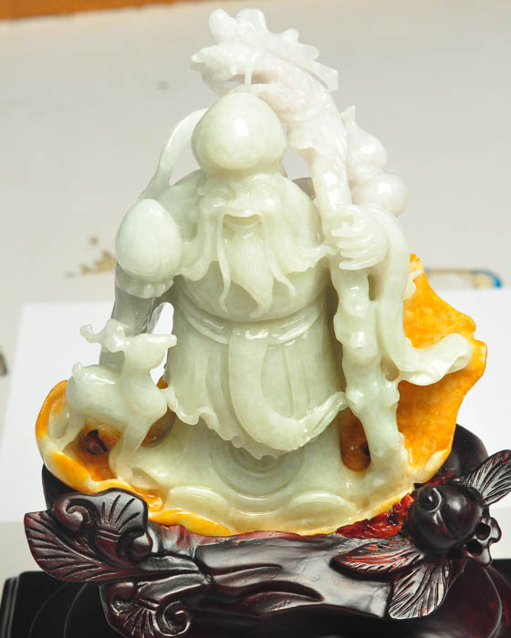 南极仙翁