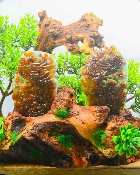 丹凤朝阳