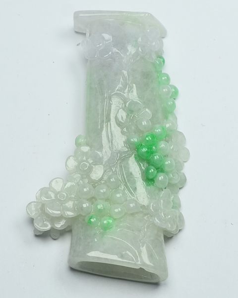 腊梅争春