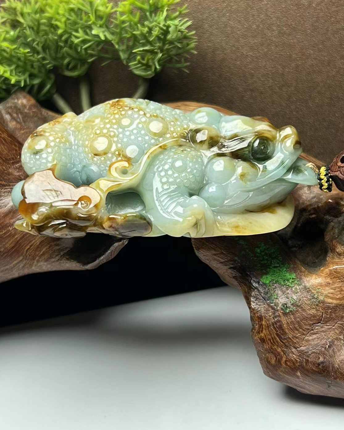 招财进宝