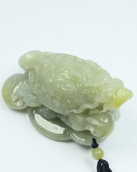 龙龟