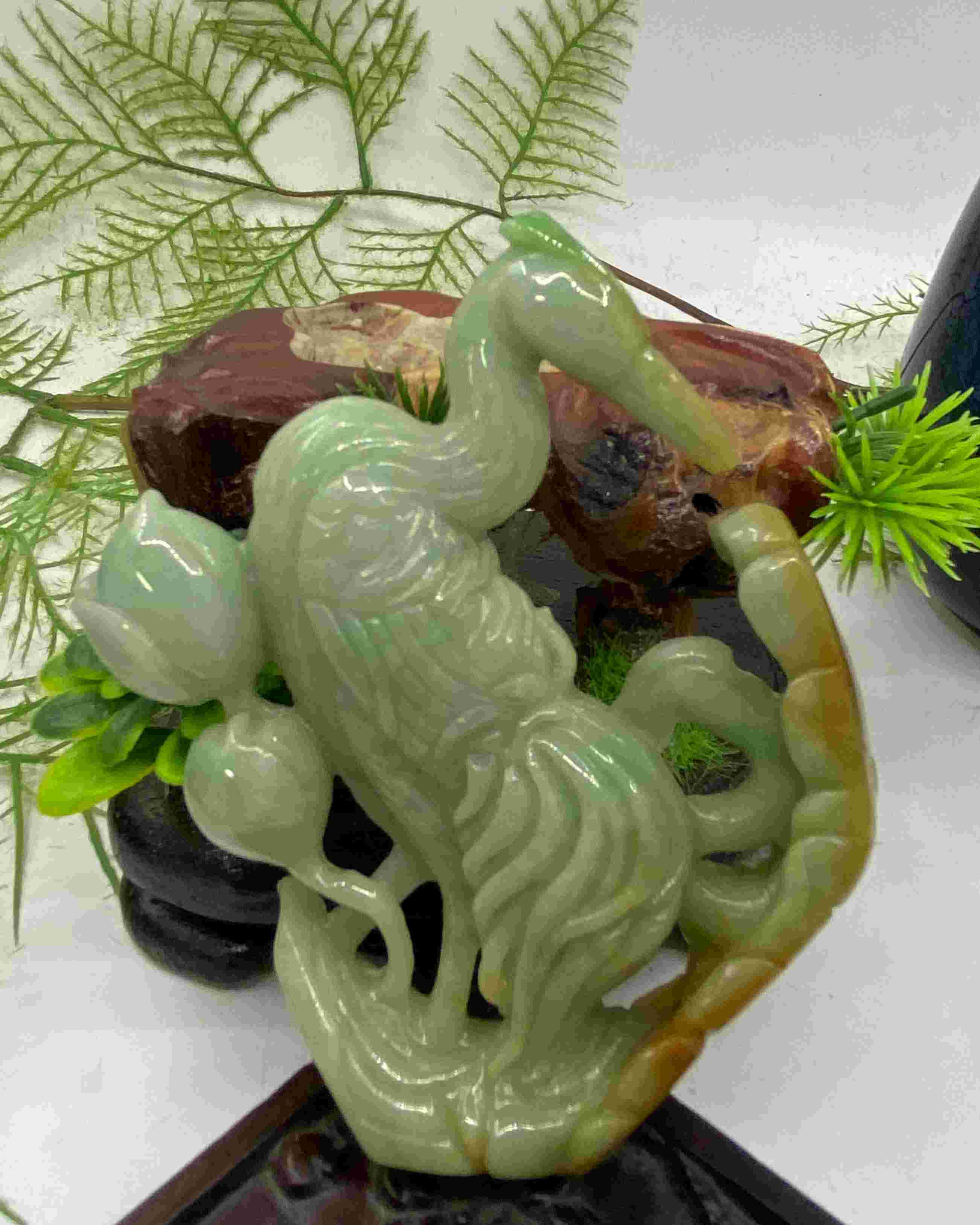 仙鹤延年