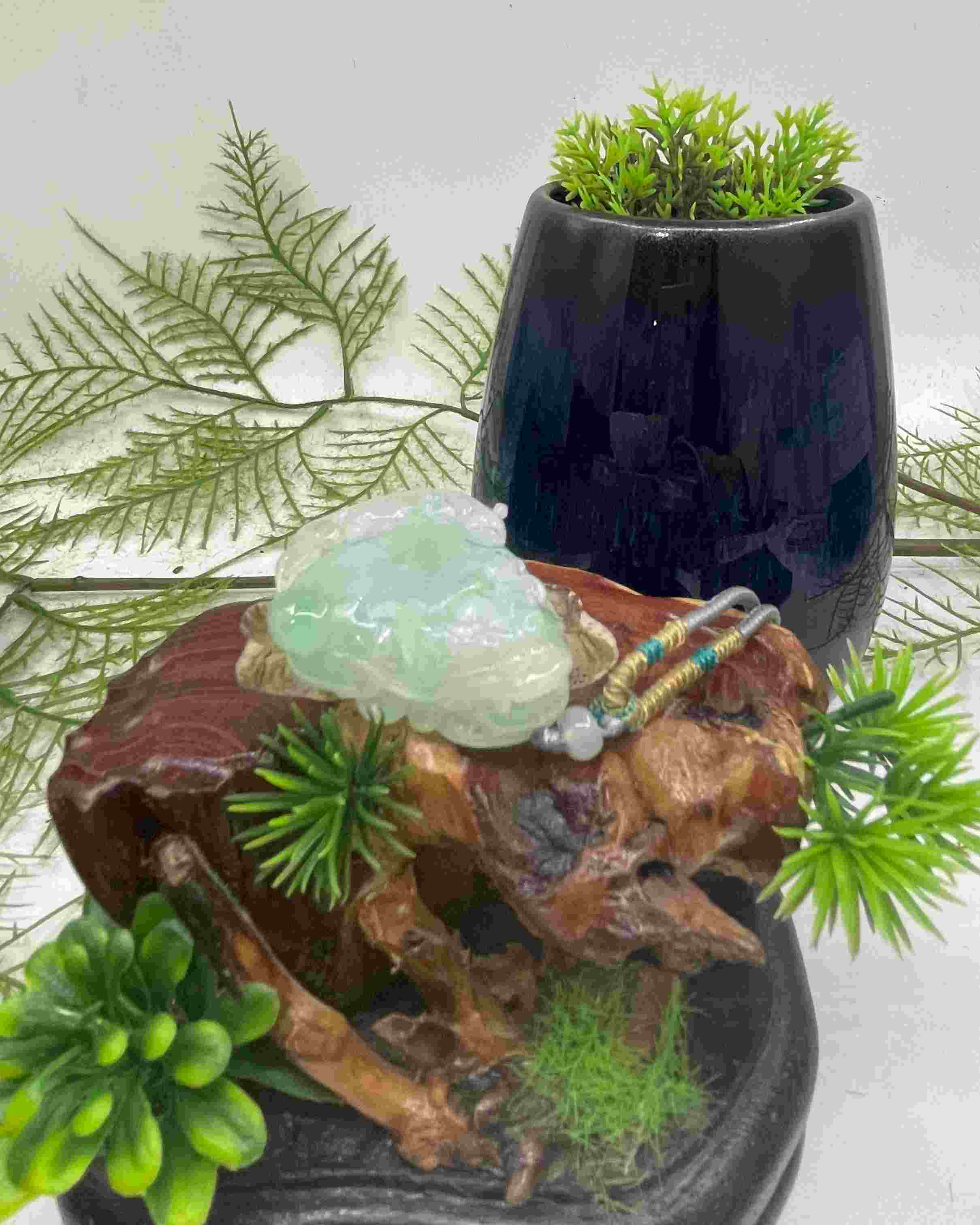 招财纳福