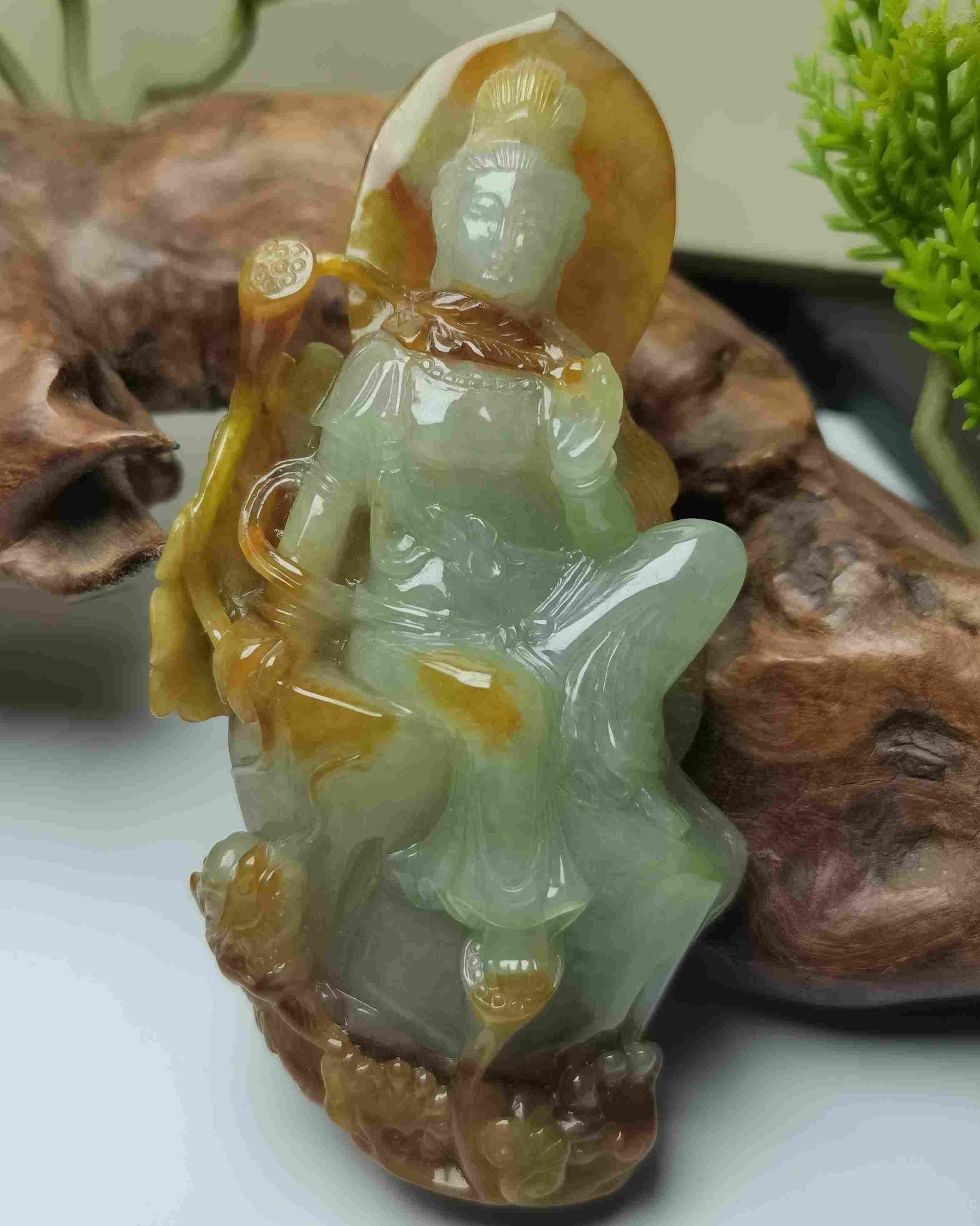 观世天下