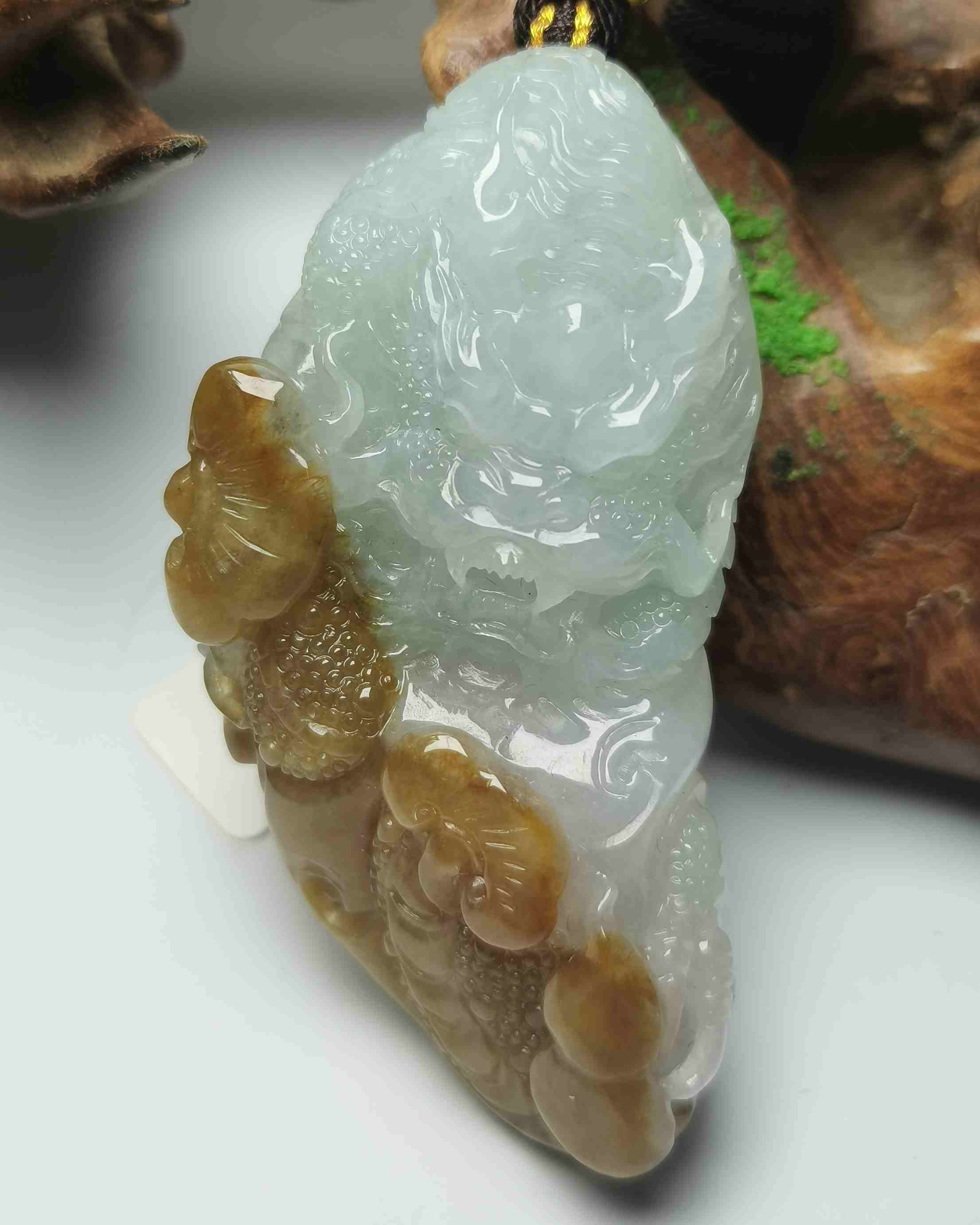 龙腾四海