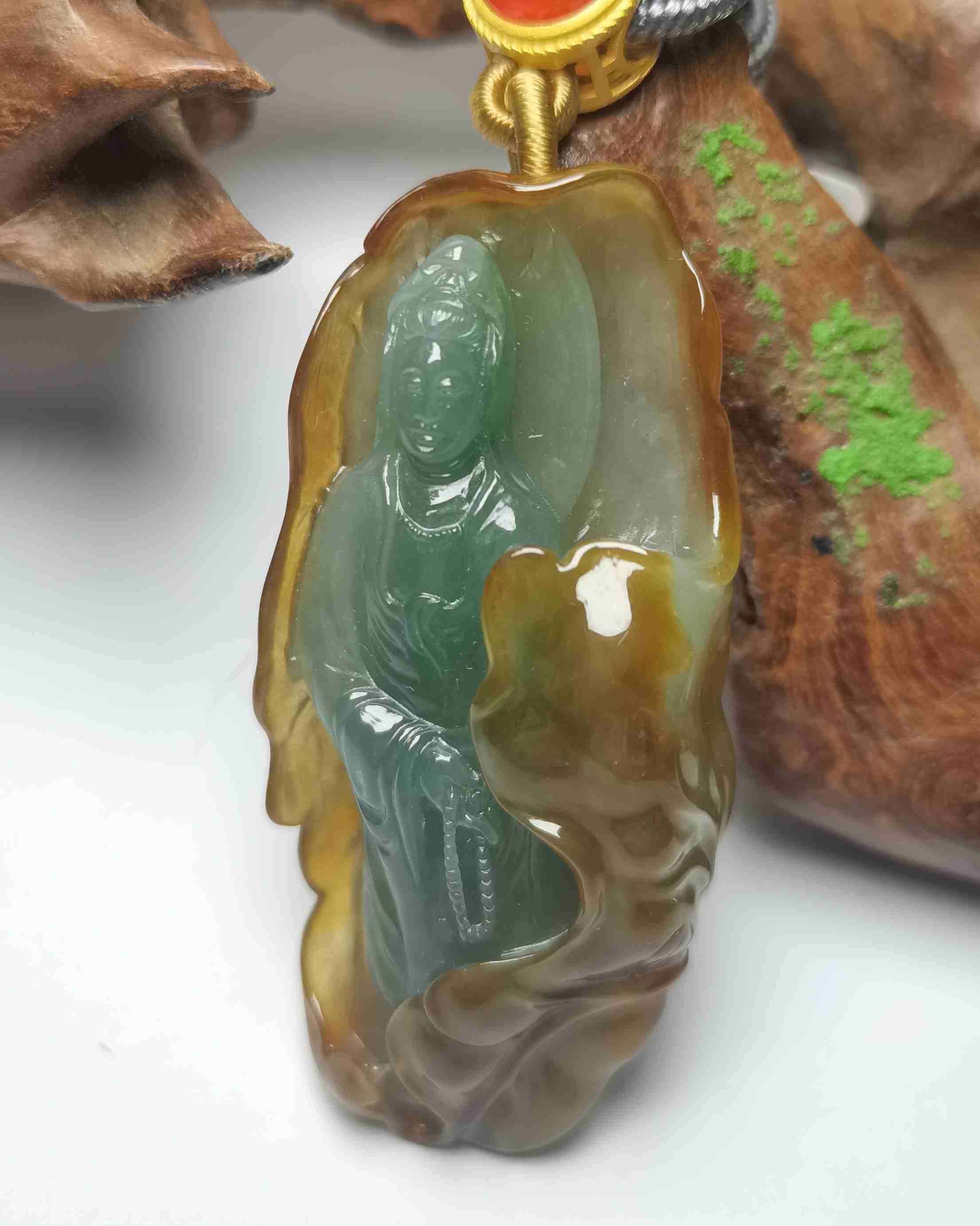 观世天下