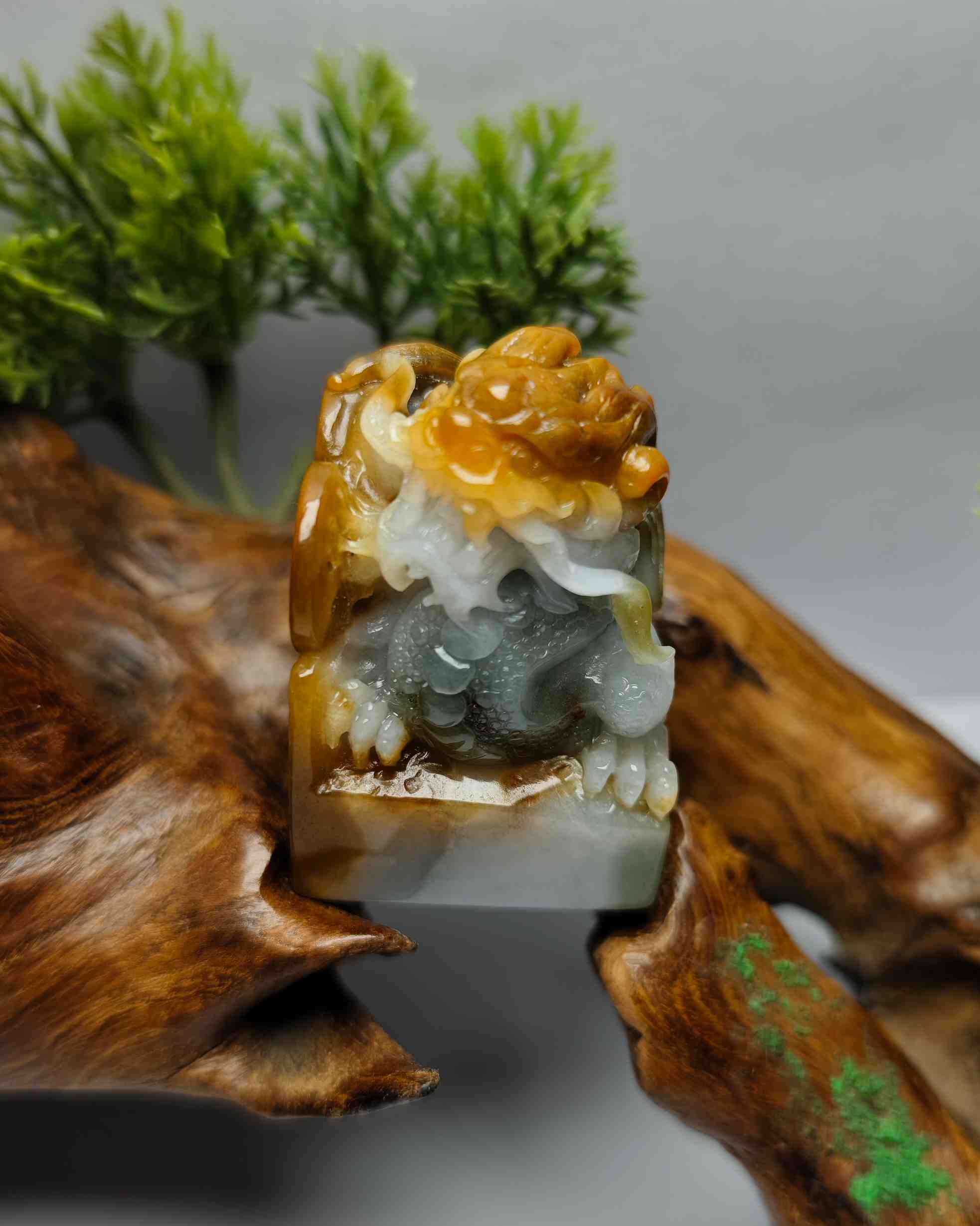 龙行天下
