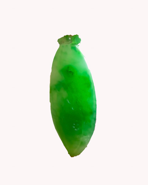 福气连连